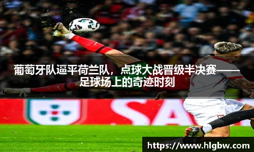MK体育