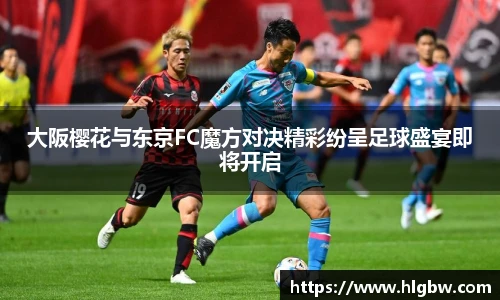 MK体育